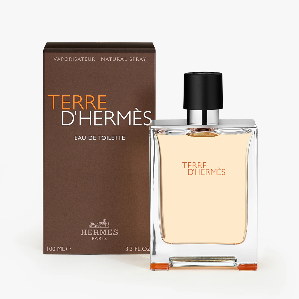 Terre dHermes - Eau de Toilette 100 ml