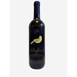 Combo Pack 3 Confezioni  da 6 Bottiglie Di Vino Bianco Falanghina Igp 75 Ml - Azienda Vinicola Pedata